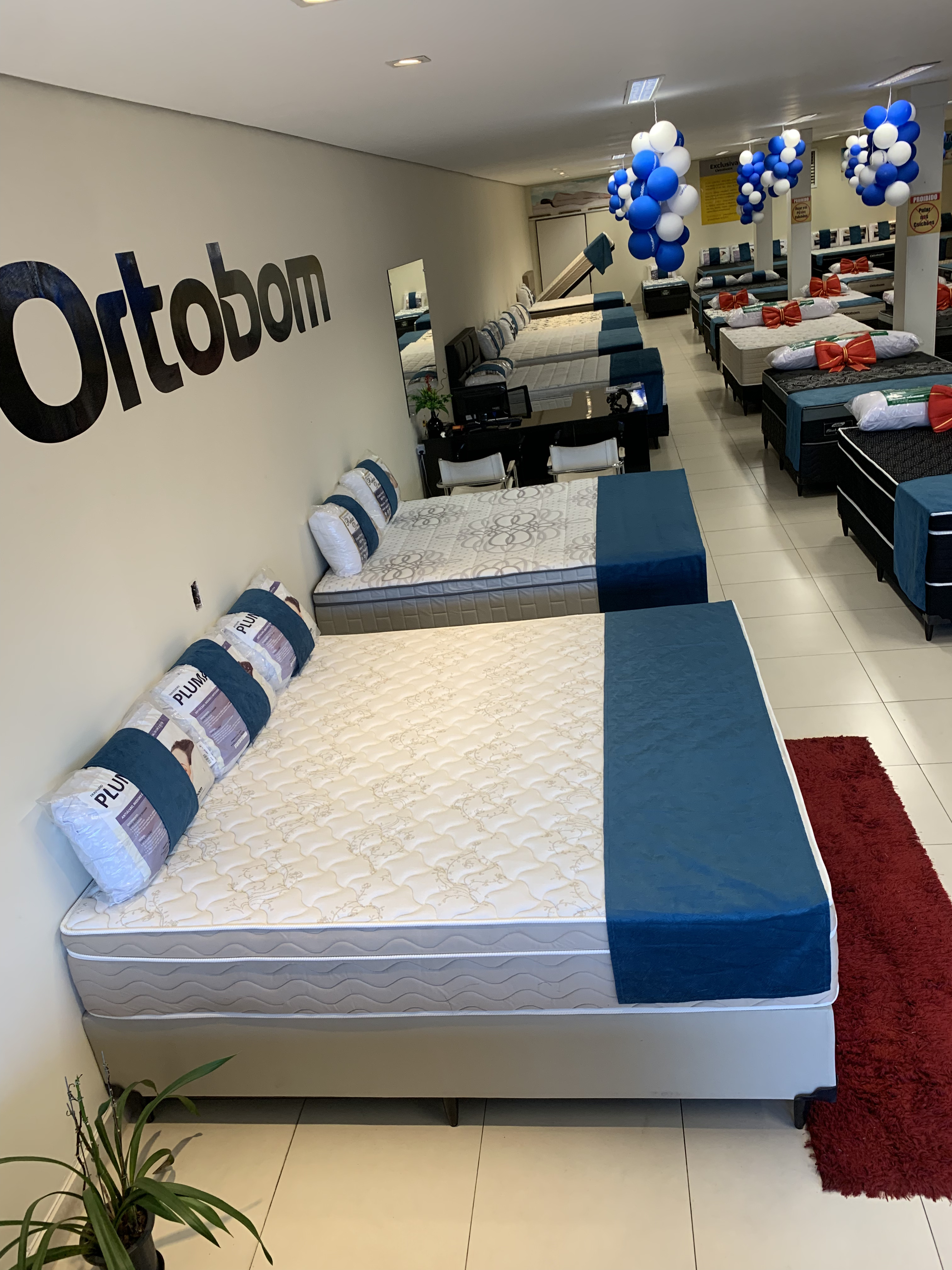 Exclusiva Ortobom Loja 6